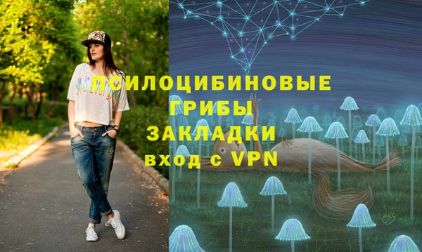 2c-b Вяземский