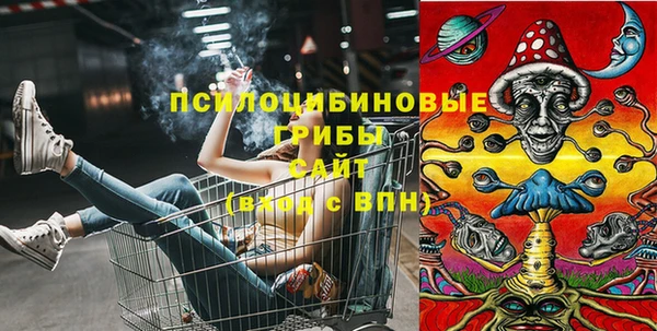 2c-b Вяземский