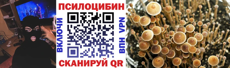 Купить где  Кирс  Галлюциногенные грибы мицелий 